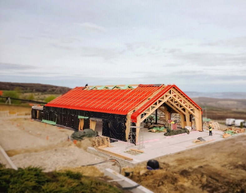 441498259 122146595048112148 5891608285667017262 n (1)