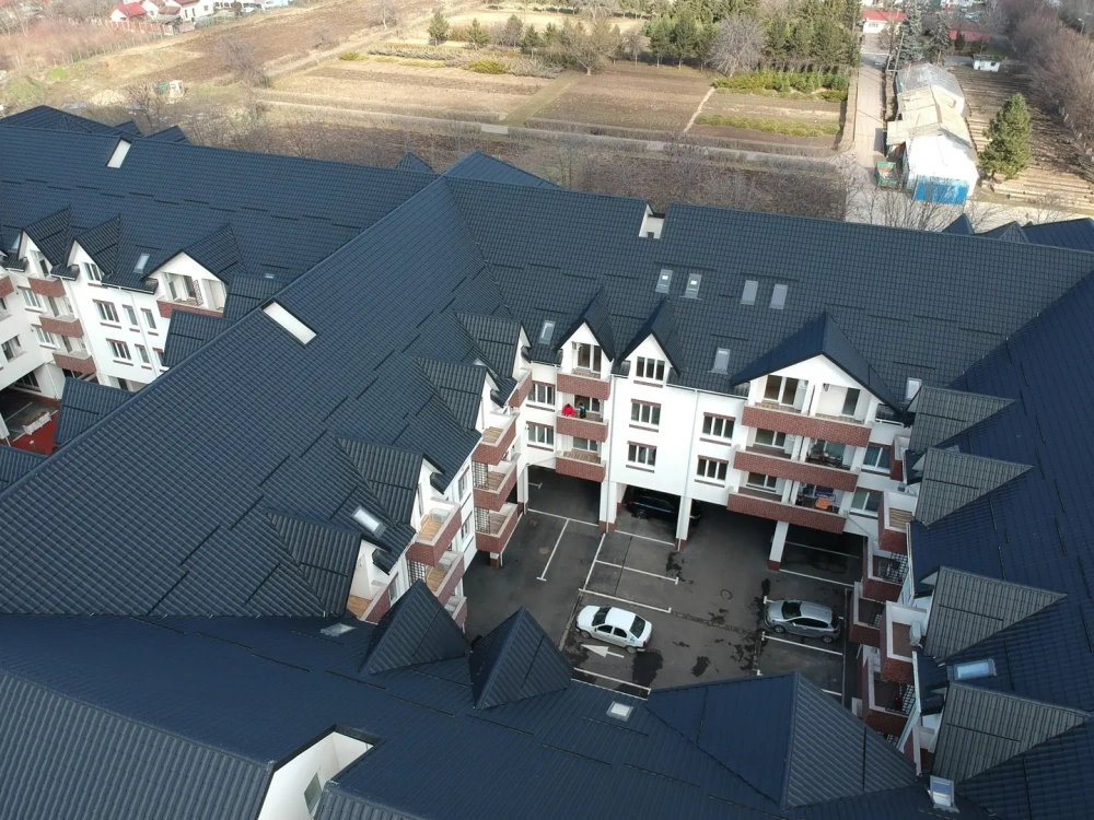 DJI 0060
