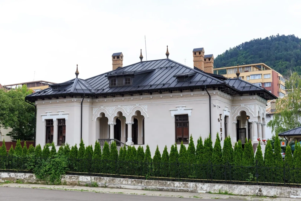 Proiect Restaurant Piatra Neamț